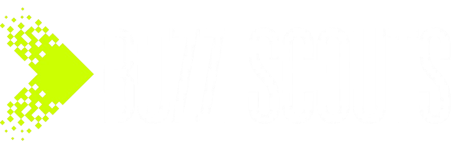 Buzz Scouts